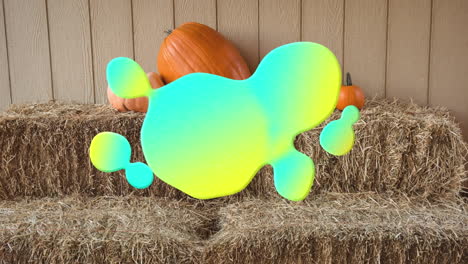animación de salpicaduras azules y amarillas sobre el parche de calabaza