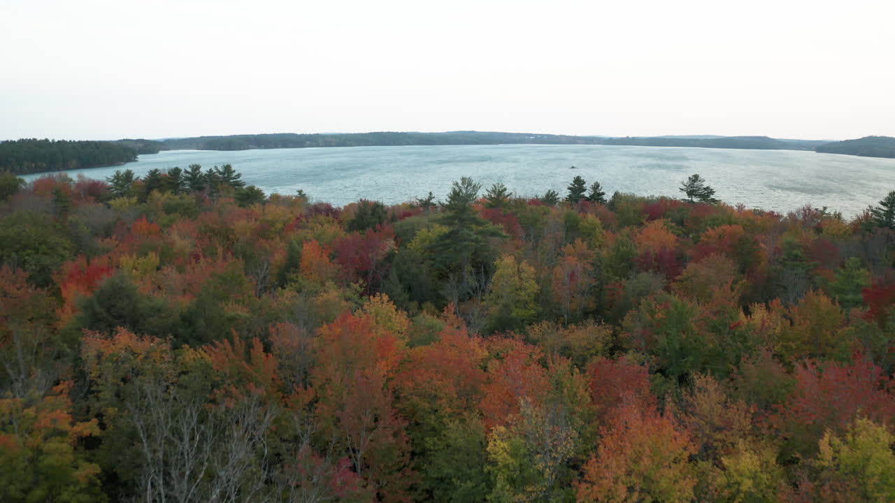 imágenes aéreas sobrevolando el follaje exuberante y el lago azul helado en un día ventoso en el lago auburn, maine