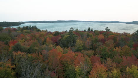 Imágenes-Aéreas-Sobrevolando-El-Follaje-Exuberante-Y-El-Lago-Azul-Helado-En-Un-Día-Ventoso-En-El-Lago-Auburn,-Maine