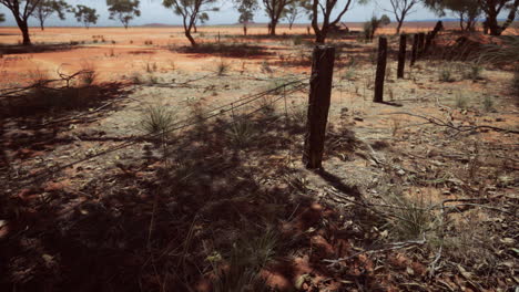 Pampas-with-barbed-wire-fence-and-dry-bushes