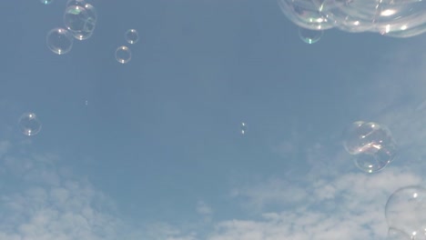 many, clear soap bubbles against bluesky with small clouds