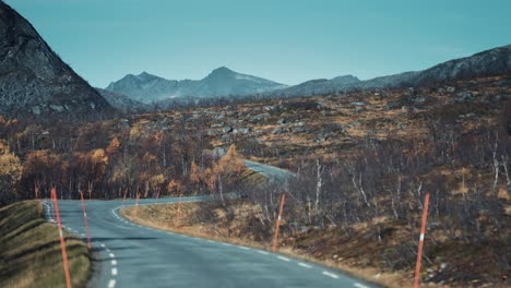 a narrow black asphalt road snaking through the autumn tundra