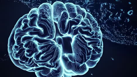 abstract digital representation of a human brain