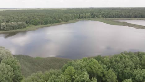 drone shot of a lake