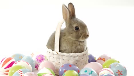 huevos de pascua y conejo de pascua en una canasta de mimbre