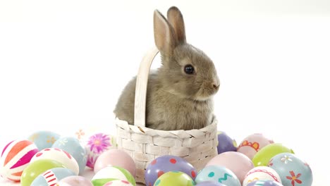 easter eggs and easter bunny in wicker basket