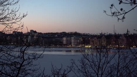 Stockholm-Stadt-Mit-Bäumen-Im-Vordergrund