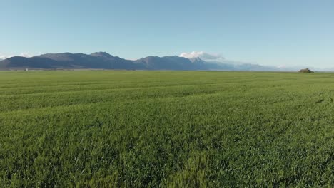 Gesamtansicht-Landschaft-Mit-Wolkenlosem-Himmel