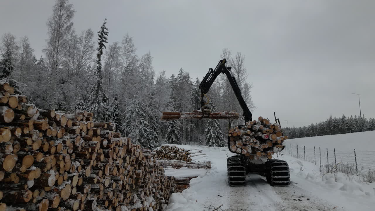 troncos de pino descargados por pinza mecánica durante el invierno, tiro de retroceso