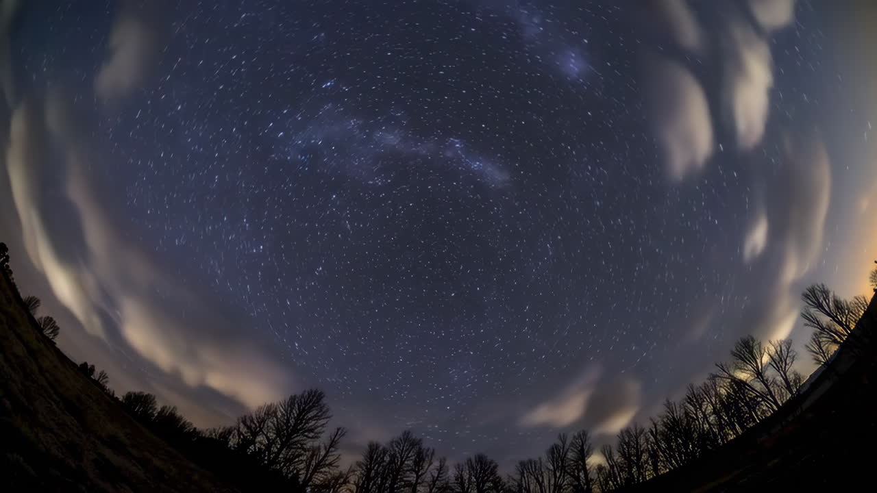 Rutas de estrellas sobre un bosque