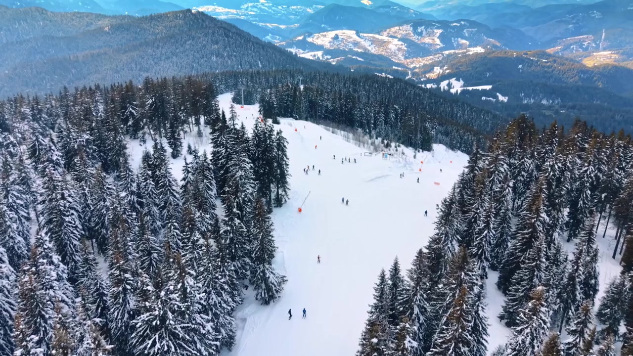 Lyžaři si užívají den na zasněžených svazích. Lidé lyžují ze svahů obklopených vysokými stromy v horské oblasti za jasného dne.