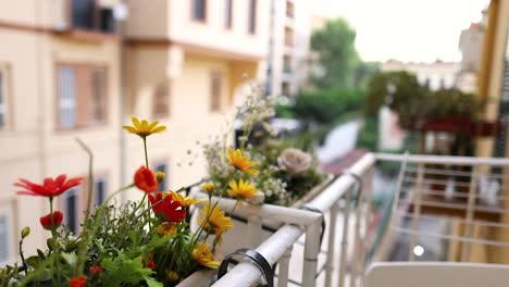 flowers on a balcony in naples, italy