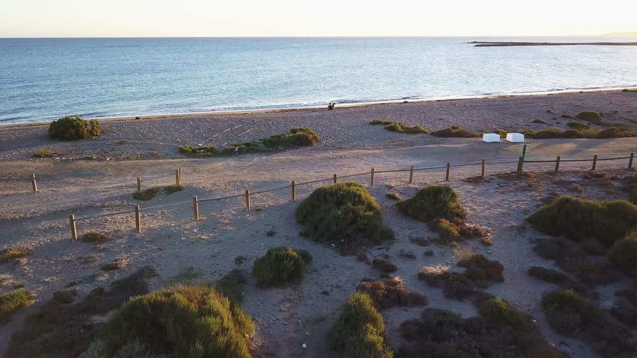 Beach scene with people and vegetation