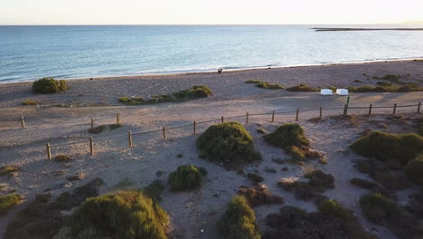 beach scene with people and vegetation