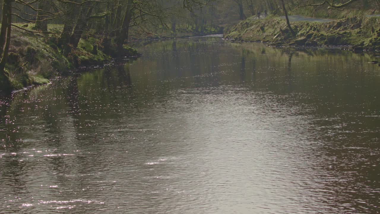 Flod der løber roligt med stier på begge sider, 25 fps, 4K, Canon C70.