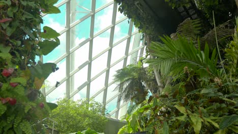 Cloud-forest-Gardens-by-the-Bay-Singapore-Small-waterfalls-fountains-side-mountain