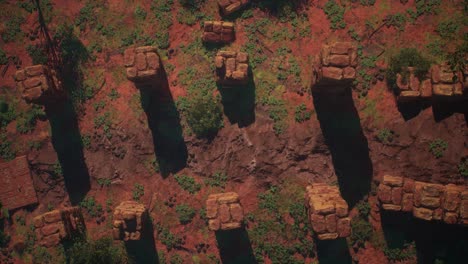 lost ancient ruins inside a jungle rocky environment with trees and bushes, 3d animation, animated scene, top down view