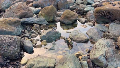 a beautiful beach in dana point, california