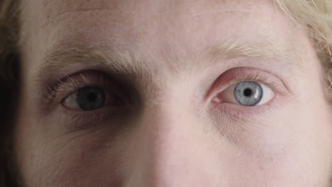 close up man blue eyes opening caucasian male awake looking at camera iris focus macro