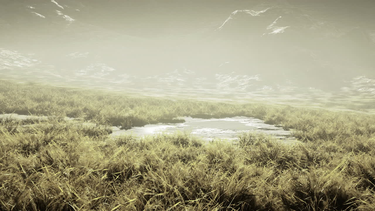 Lush green meadow with mist and distant mountains under soft light