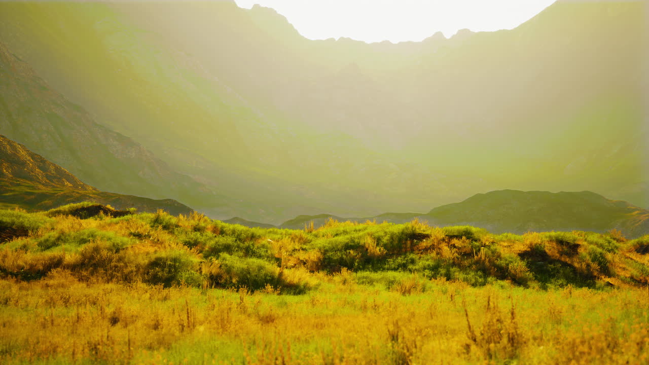 황금색 잔디이 있는 평온한 산악 풍경