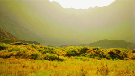 un paisaje montañoso sereno con un campo de hierba dorada
