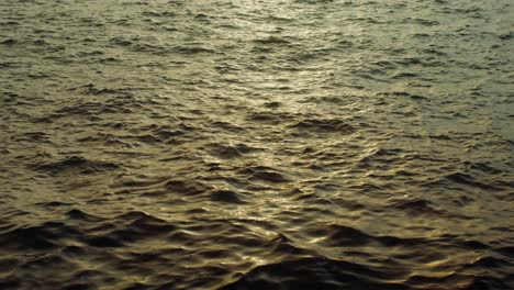 rippled water surface