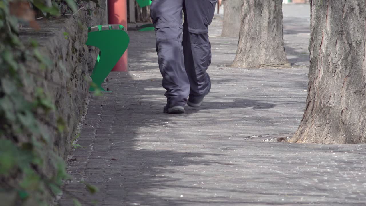 Person walking down a path lined with trees