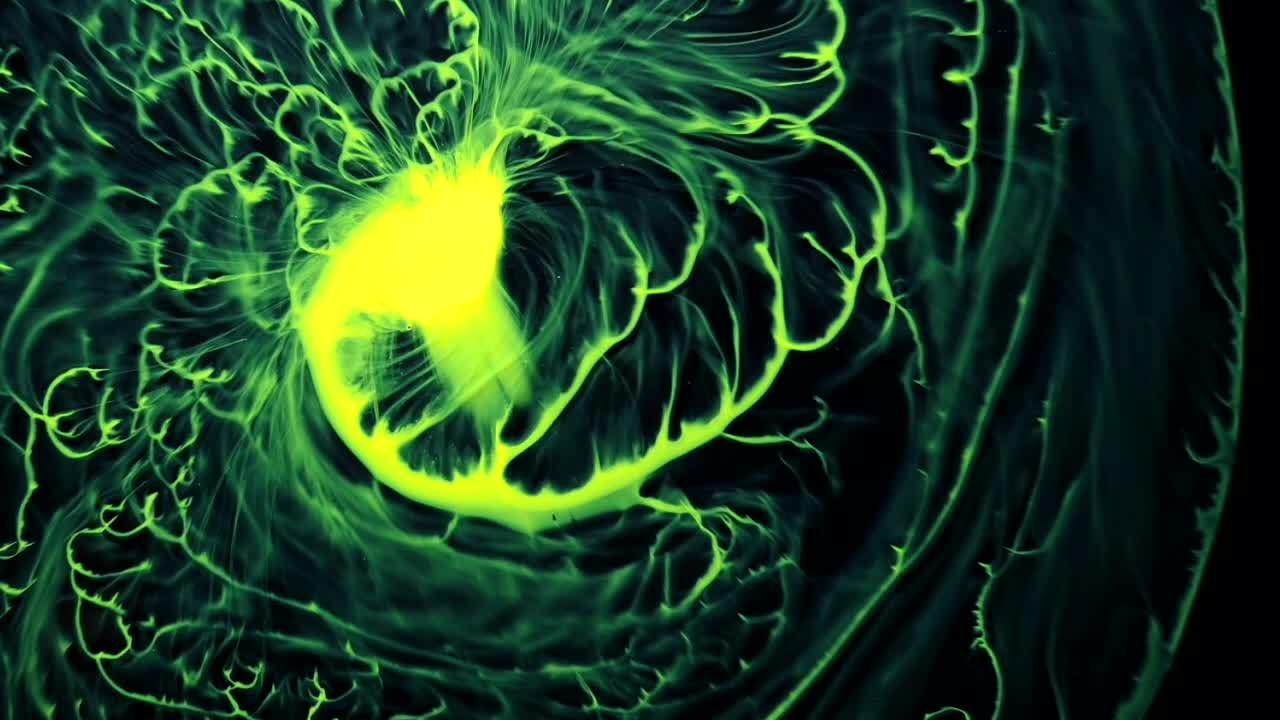 An egg yolk's dream of being a magical ballerina - an all natural AbstractVideoClip