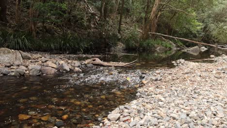 calm river streaming over pebbles in woods