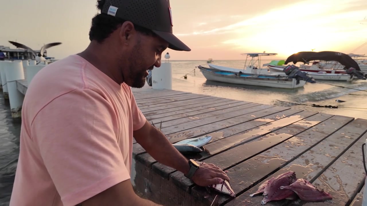 Sideprofilbillede af en håndværksfisker, der skærer friske rå tunsteaks på en træmole i en lokal caribisk fiskerihavn under solnedgang.