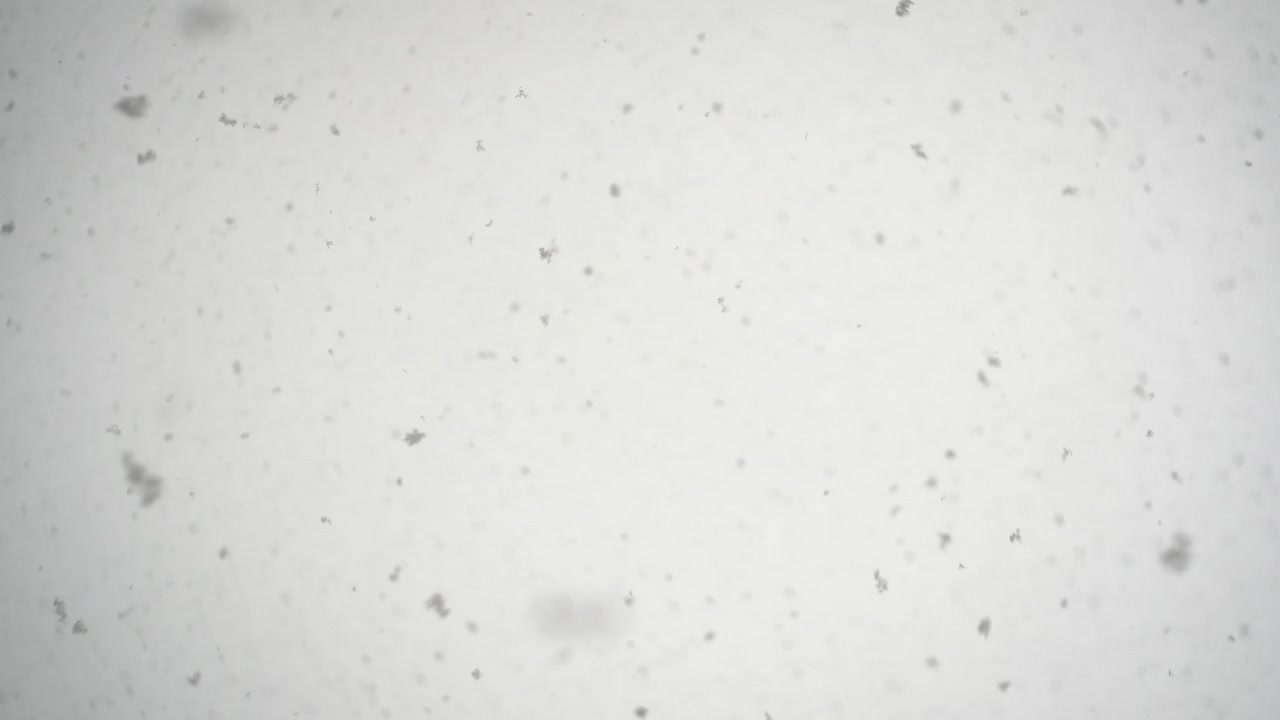 nevando muito com flocos grandes, olhando para cima, profundidade de campo rasa com bordas mais escuras do quadro