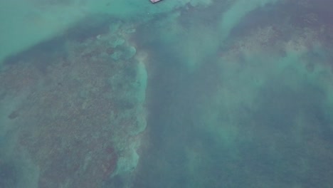 Aerial-tilt-up-of-a-dolphin-swimming-center-at-Punta-Cana-in-the-Dominican-Republic