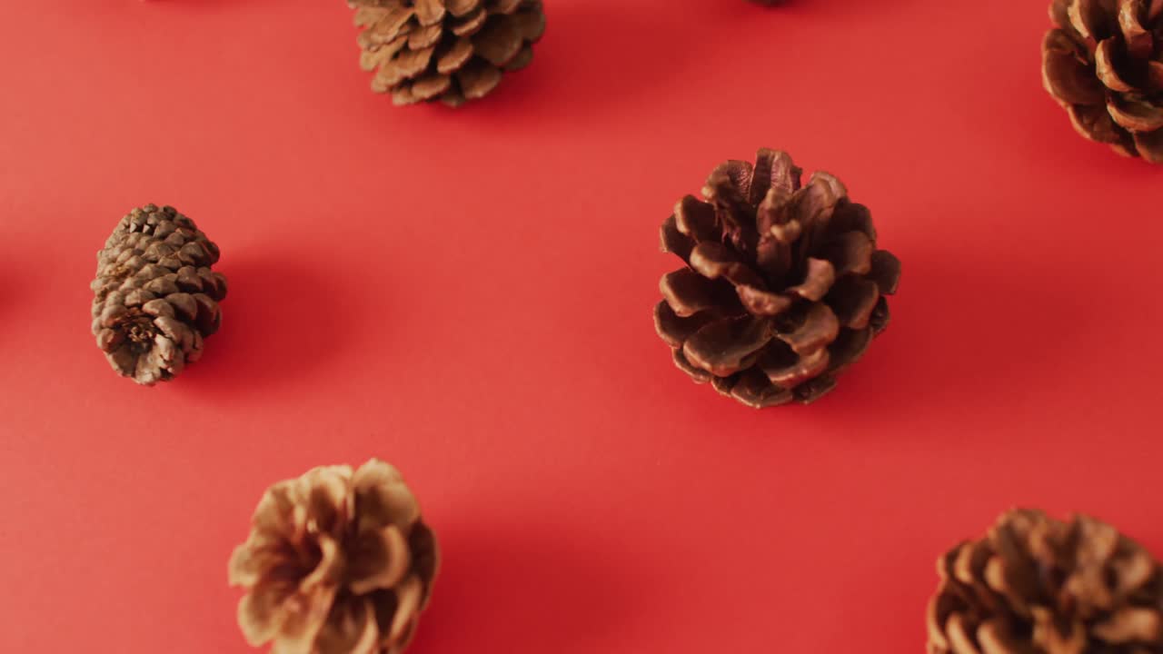 Video of pine cones lying on red surface