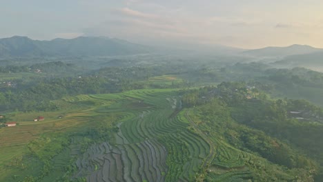 misty landscape and rice terraces in indonesia, aerial drone view