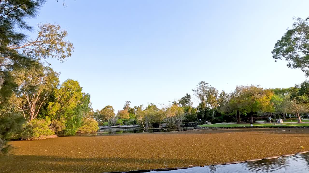 울창한 초록색으로 둘러싸인 평화로운 연못