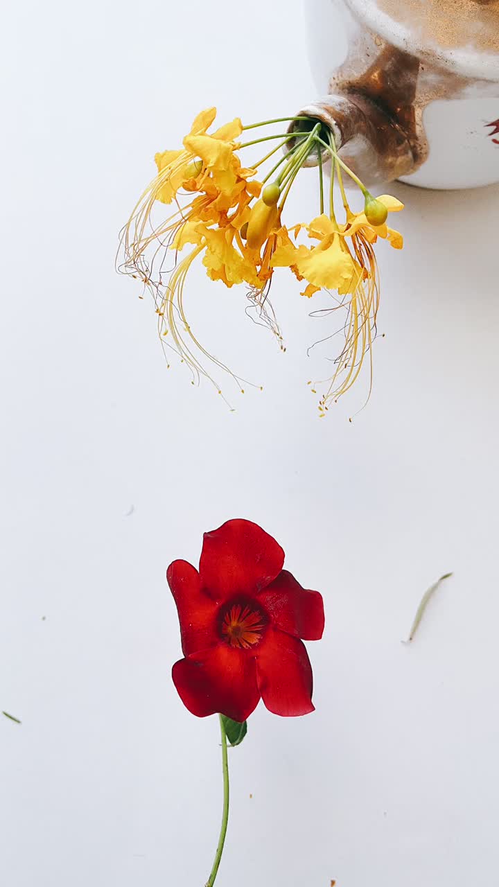 Yellow and Red Flowers Arrangement