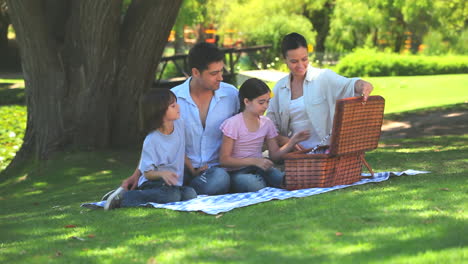 family opening picnic basket