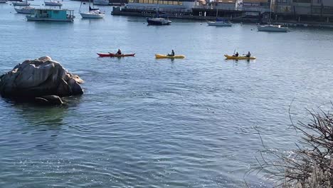 Menschen,-Die-In-Monterey-Wharf-Kanu-Fahren,-Robbenschwimmen-Im-Wasser-An-Einem-Klaren-Tag,-Kalifornien