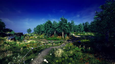 Scenic pathway through a serene forest landscape with blooming flowers
