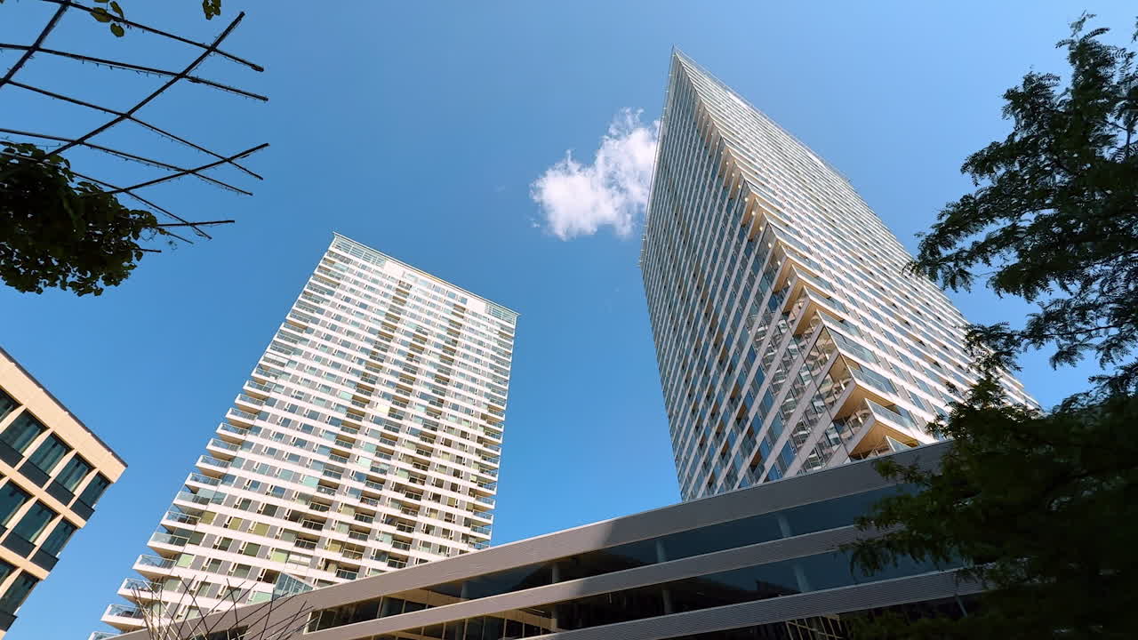 High-rises of the modern city. Low angle view at the exterior of glass towers. Plants at foreground