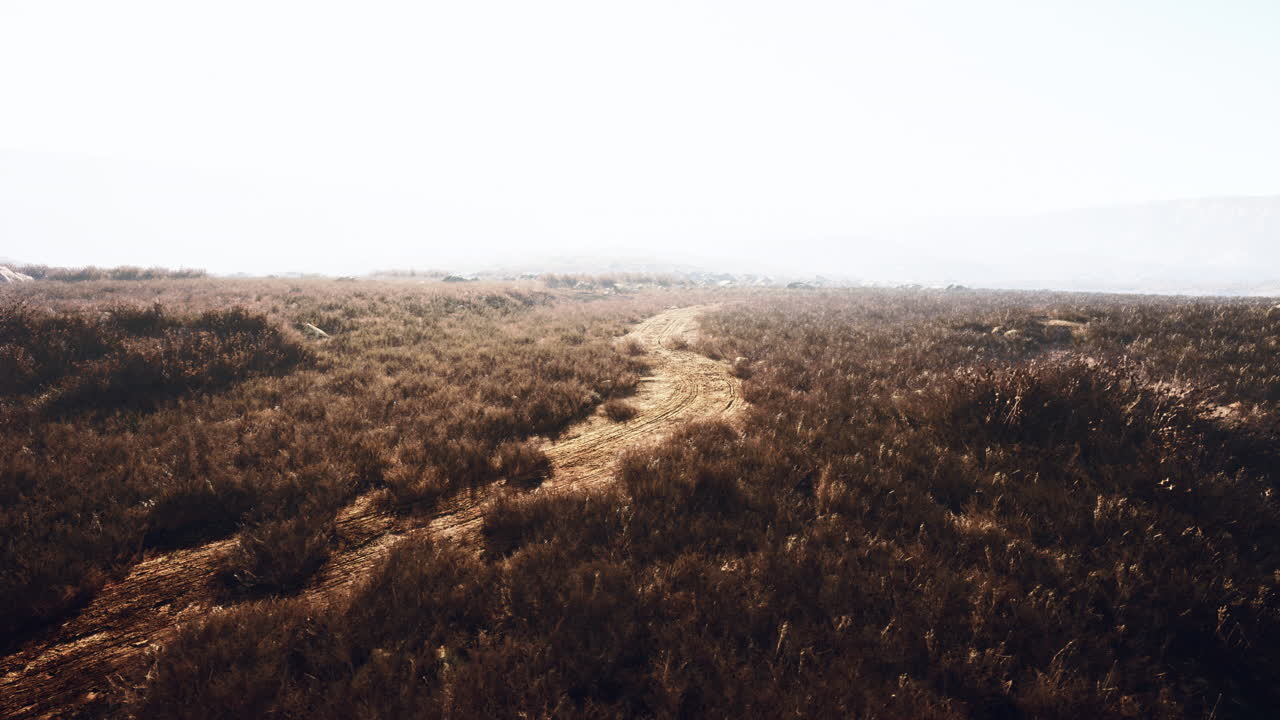 un camino de tierra a través de un campo seco y cubierto de hierba