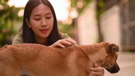 a heartwarming moment of connection: a young woman and her adorable dog enjoy a serene evening together in a natural setting