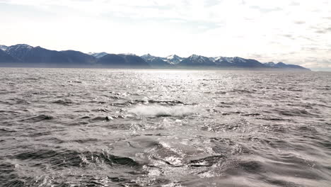 la cola de la ballena jorobada golpeando el agua en islandia fotografía aérea en cámara lenta
