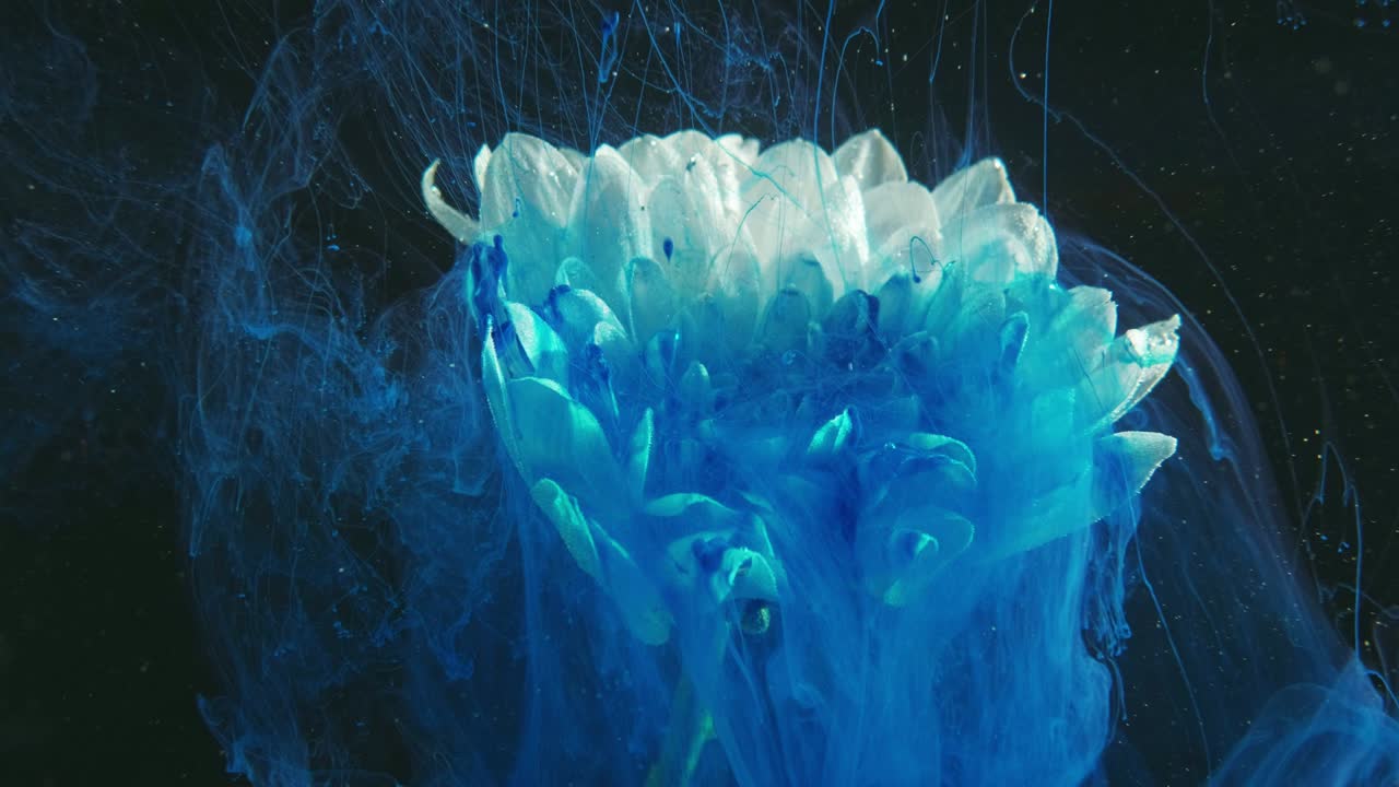 inchiostro fiore acqua fantasma flusso di vapore blu margherita