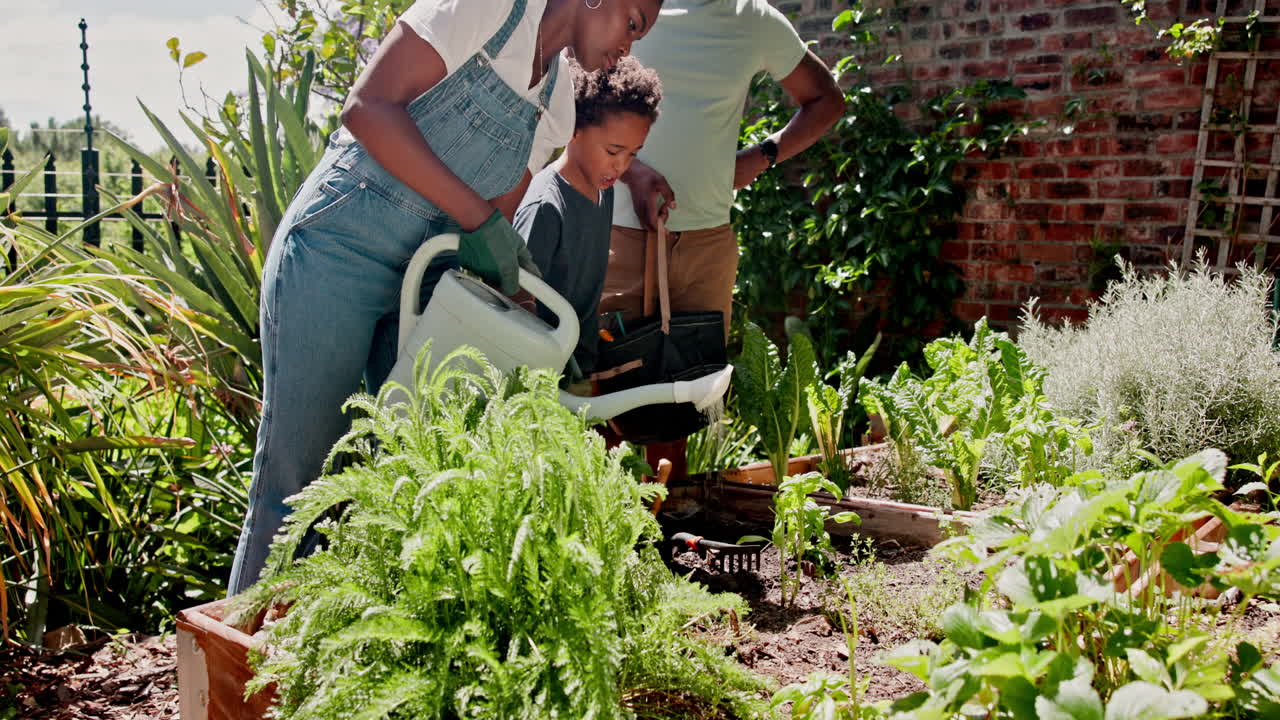 jardinería familiar juntos