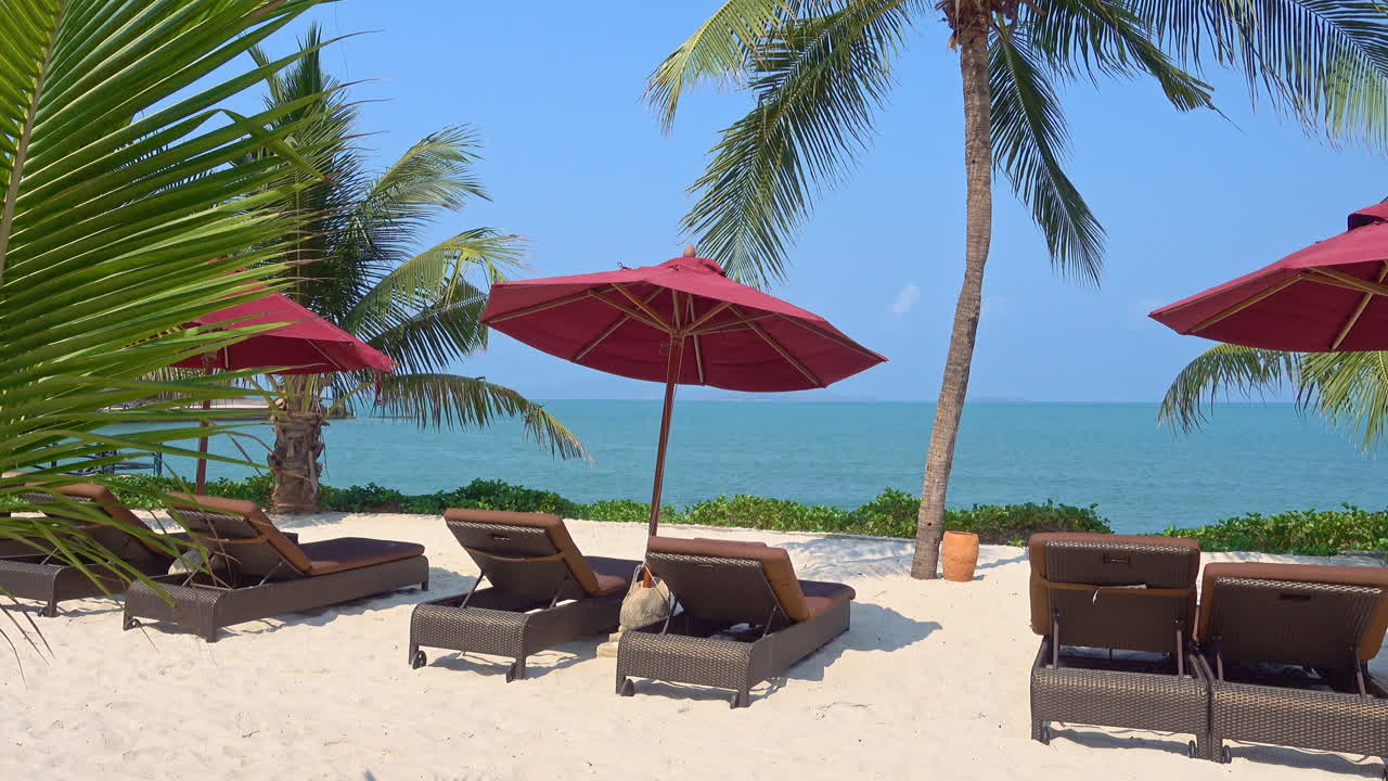 Sun Beds and Parasols on a Tropical Beach Surrounded by Palm Trees