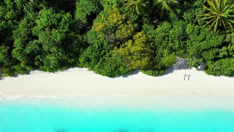 Paradise-white-beach-with-untouched-fine-sand-under-shadow-of-lush-vegetation-and-palm-trees-washed-by-bright-azure-lagoon-in-Seychelles