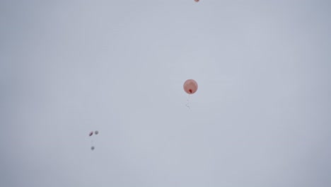 white balloon flies past a house high in the sky