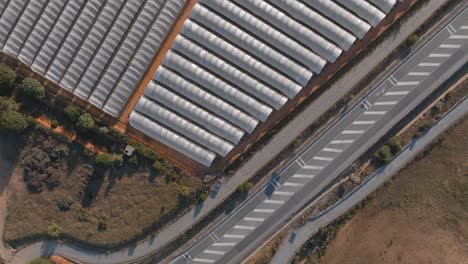 toma aérea de las tiendas de la plantación de fresas cerca de la carretera principal